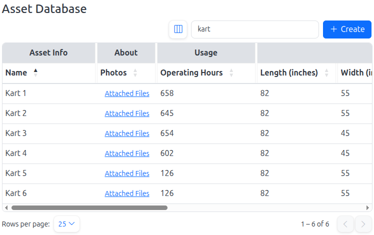 Placeholder for an individual asset record